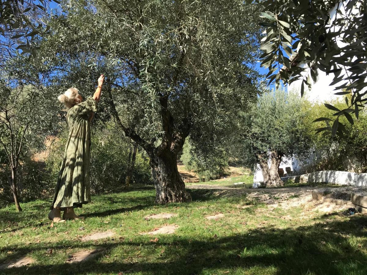 Гостевой дом Cortijo La Fe Монтефрио Экстерьер фото